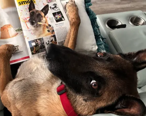 ▲Monkey真的超級聰明。（圖／IG@omarvonmuller）