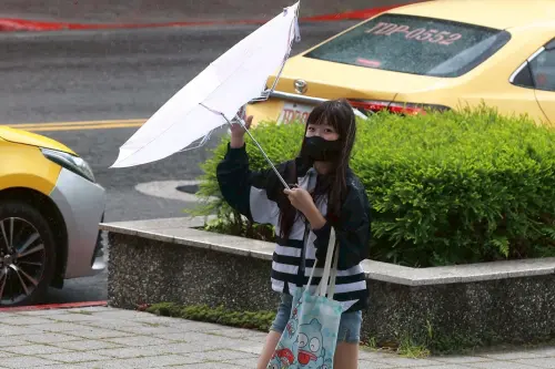 ▲強風配圖、天氣配圖、颱風配圖。（圖／NOWNEWS攝影中心）