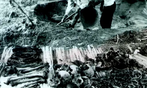 台籍日本兵背後故事曝！東南亞二戰血淚史　《由島至島》公視首播
