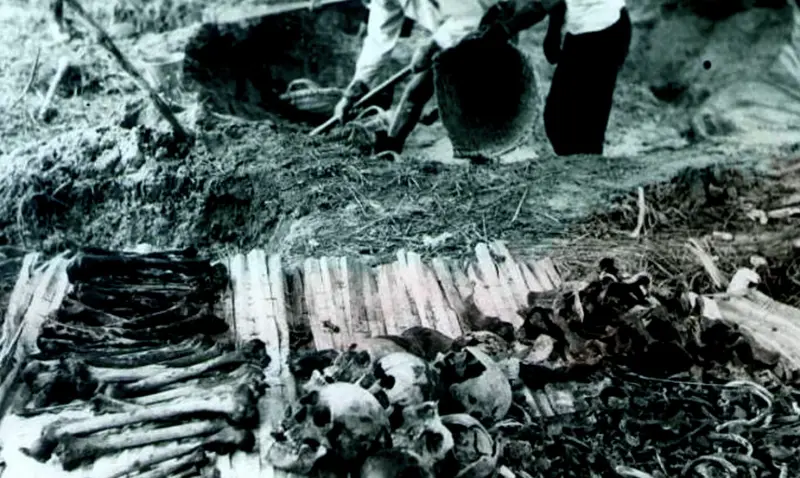 ▲公視「紀錄觀點」將於8月14、21日晚間，首播由廖克發導演、近五小時的史詩級紀錄片《由島至島》。（圖／公視紀錄觀點提供）