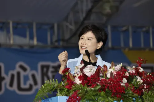 Cheng Li-chun is a prominent figure within the DPP's succession lineup, known for her long-standing dedication to the fields of culture and the arts. (By Cheng Li-chun Facebook)