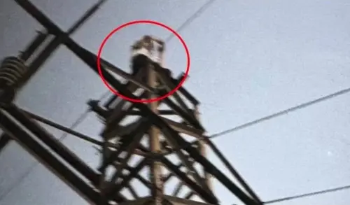 悲痛！20歲男爬大同山電塔觸電成「焦屍」　生前最後畫面曝光
