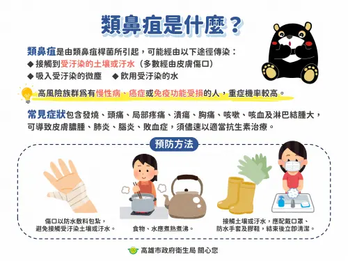 ▲類鼻疽是由「類鼻疽桿菌」引起，該菌存在於土壤、水池及積水環境中，會由皮膚傷口接觸受病原菌污染的土壤或汙水傳染。（圖／高雄市衛生局提供）