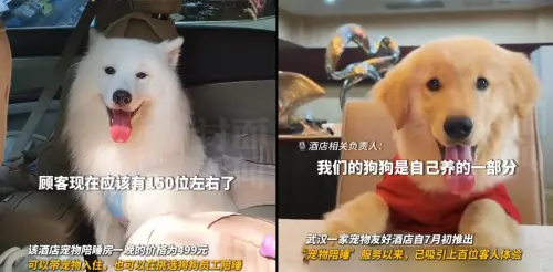 ▲中國湖北武漢一家飯店推出狗狗陪睡服務，一晚房價約台幣2000元，狗狗也能拿到約400至800元的薪水。（圖／翻攝自微博）
