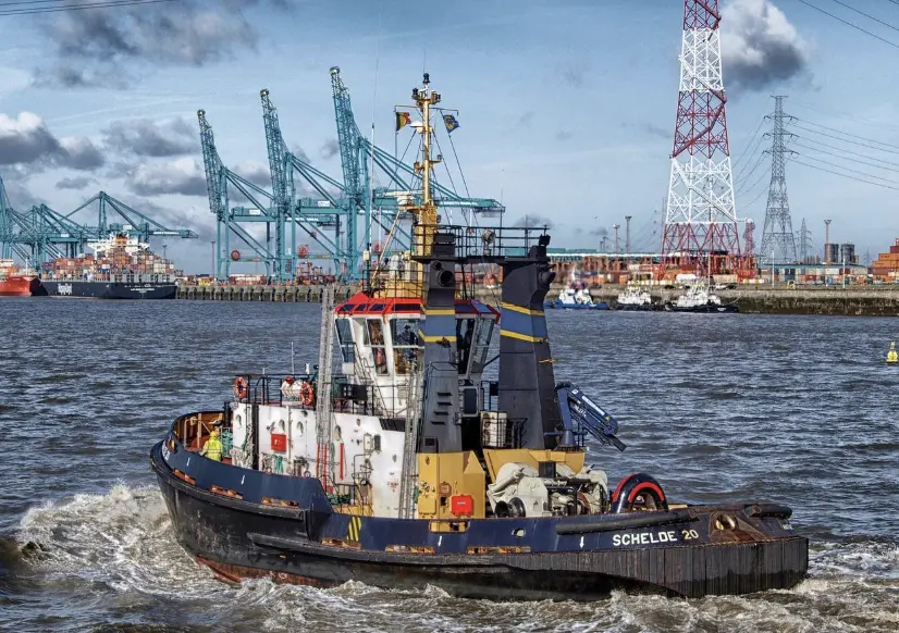 ▲泰國正在積極防範成為中國「洗產地」的幫兇。（圖／取自Pixabay）