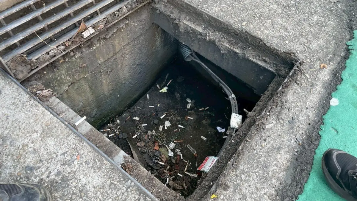 檢舉亂丟菸蒂4個月狂賺12萬元！單件獎金曝光 眾驚：根本做功德