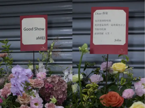 ▲孫燕姿演唱會（圖／Make Music提供）