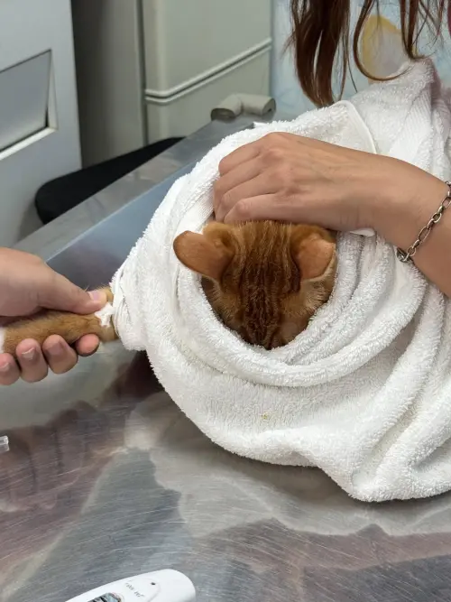 ▲（圖／Threads網友「@moes5577」授權提供）