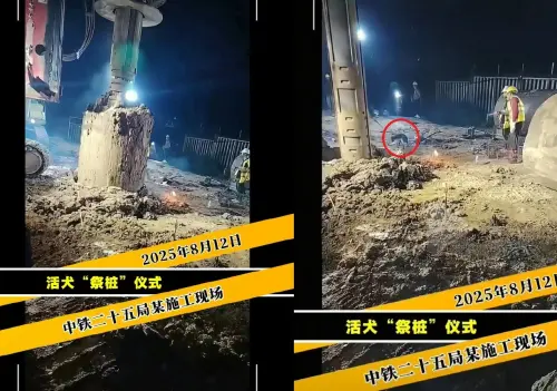 ▲中國網友爆料，國企中鐵二十五局的工地進行「活犬打生樁」，將一隻狗狗活埋、碾壓，引發眾多網友怒火。（圖／翻攝自微博）