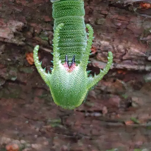 ▲（圖／山友余小姐授權提供）