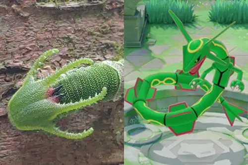 ▲（圖／山友余小姐授權提供、翻攝寶可夢台灣臉書）