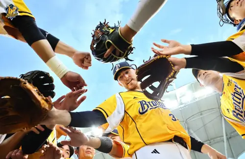 中職／中信兄弟「新先發輪值」！羅戈、鄭浩均雙護法　李博登回穩
