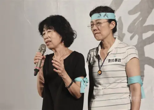 陳佩琪稱要赴天安門表達訴求　洪健益：說法令人感到好笑
