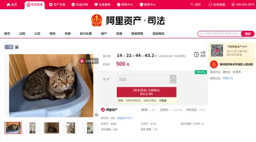 ▲貓咪吸引大量中國民眾關注並參與競標。 （圖／翻攝自阿里資產司法拍賣網）