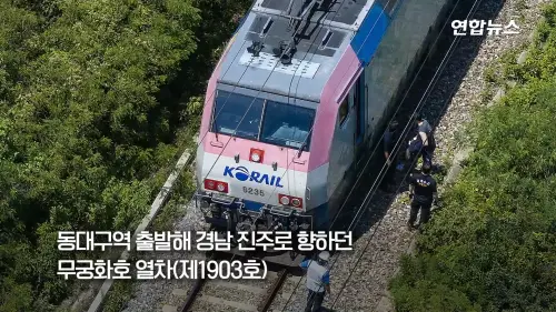 韓國鐵路重大意外！列車撞上檢修工人釀2死5傷　專家曝致命原因
