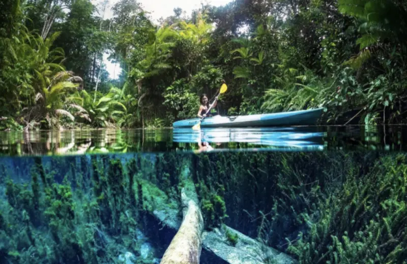 ▲泰國政府近年積極吸引好萊塢大片到當地拍攝，藉此推動軟實力，並拉抬觀光商機。（圖／翻攝自Bangkok Post）