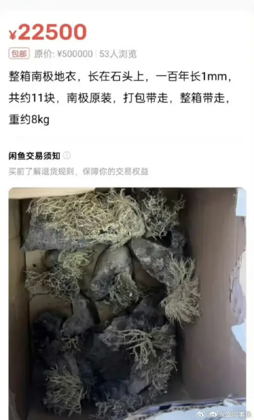 ▲中國二手交易平台上近日傳出疑似有中國南極考察隊員再盜賣「南極地衣」，引發爭議。圖為南極地衣資料照。（圖／翻攝自微博）