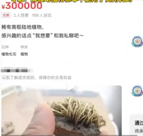 ▲中國二手交易平台上近日傳出疑似有中國南極考察隊員再盜賣「南極地衣」，引發爭議。圖為南極地衣資料照。（圖／翻攝自微博）