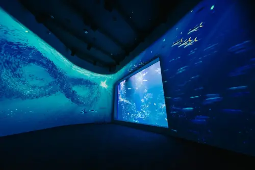 ▲台中海洋館有全館最大展示缸—黑潮之海，巨型水槽匯集黑潮海洋生態系中的多樣生物，搭配電子展示技術，呈現難以飼養或無法展出的珍稀物種。（圖／翻攝台中海洋館官網）