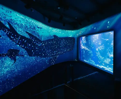 ▲「黑潮之海」展區擁有兩層樓高的巨型展區結合電子展示與沉浸式空間。（圖／翻攝自台中海洋館FB）