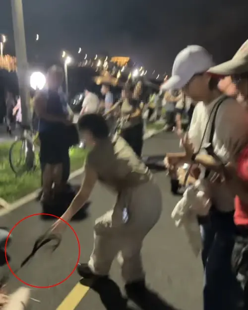 ▲昨天（20號）晚上，大稻埕煙火秀「火氣」很大上演全武行，年輕女子秀髮也被扯掉。（圖／翻攝threads）