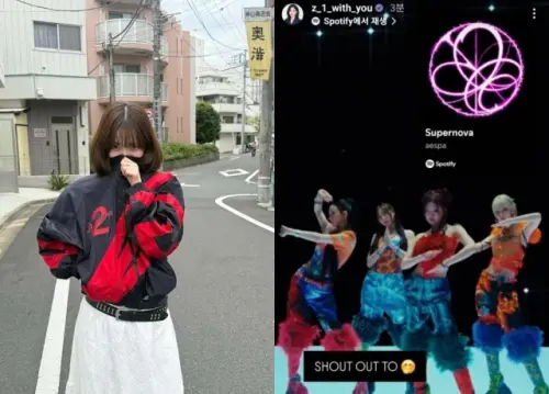 ▲Karina（左）曾捲政治爭議！因1張穿搭照被罵翻　數度道歉仍爆脫粉潮。（圖／Karina IG@katarinabluu、IG@z_1_with_you）