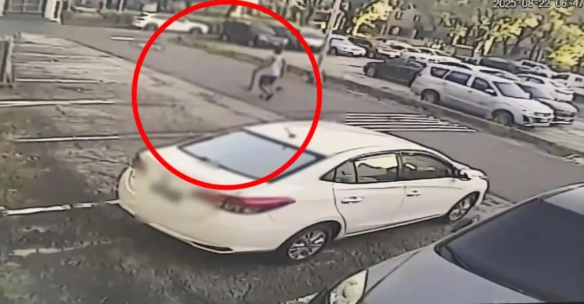 ▲死者羅姓男子今天一早拿畚箕遛狗最後身影曝光。（圖／翻攝畫面）