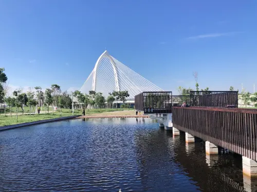 房市／台中市文化地標五年開四間　信義房屋：三大區域版圖成形
