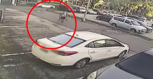 ▲從監視器畫面看來死者生前穿著一件白色上衣，雙手各拿畚箕、掃帚沿路掃狗屎，前往公園遛狗。（圖／高市警局左營分局提供）