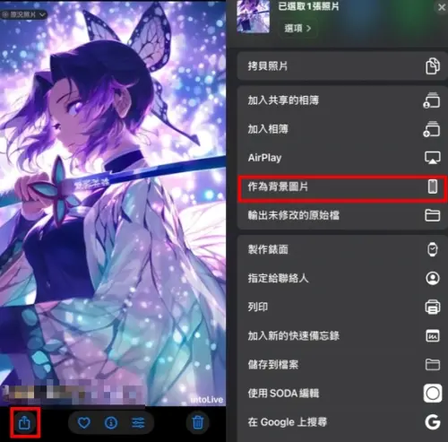 ▲最後打開相簿中該原況相片，左下角分享鈕按下去，滑到下方「作為背景圖片」，就大功告成啦！蝴蝶忍立刻在你的桌布上華麗現身。（圖/記者張嘉哲合成）