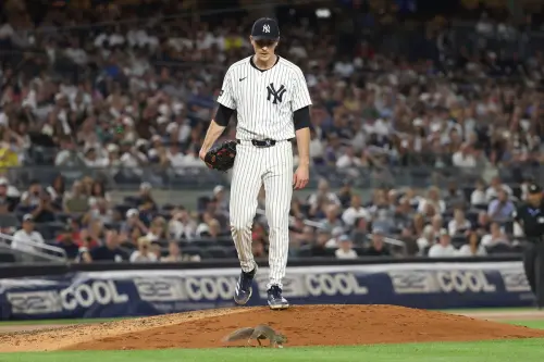 影／松鼠誤闖「基襪大戰」搶鏡！洋基左投弗里德苦笑：別做丟臉事
