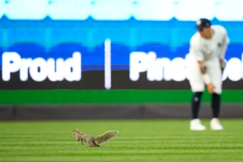 ▲比賽進行到4局上，弗里德正準備投出滿球數下一球時，突然有隻松鼠闖進投手丘，甚至一度跑到他腳邊。（圖／美聯社／達志影像）