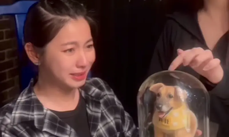 ▲米可白的愛犬錢錢因胃癌過世，同事們知道她很思念愛犬，特地送上錢錢的擬真公仔，讓米可白一秒爆哭。（圖／米可白IG@mimi00419）