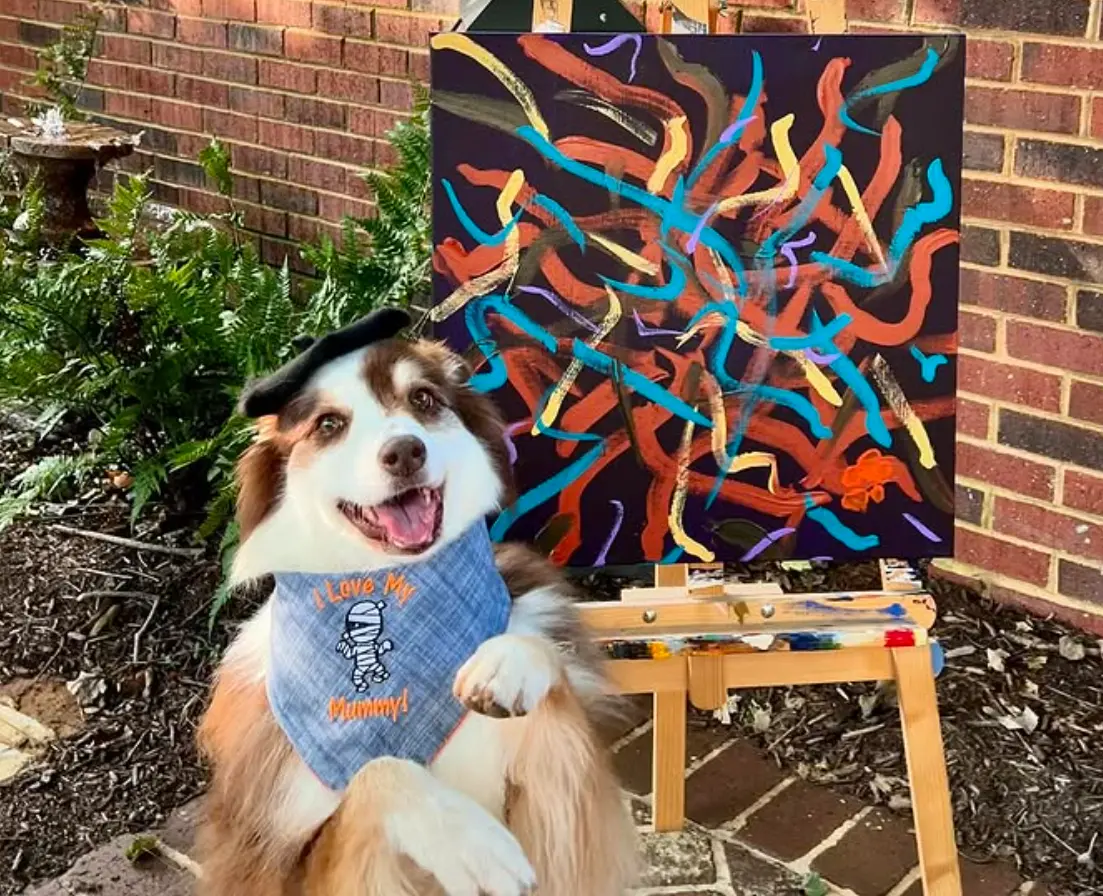 ▲11歲澳洲牧羊犬Ivy是抽象派畫作大師，10年間累積作品已經超過300幅。（圖／IG@availablepaintingsbyivy）