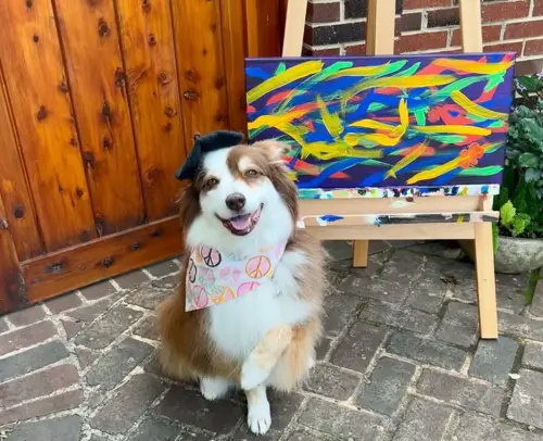 ▲Ivy對自己的作品充滿愛與信心。（圖／IG@availablepaintingsbyivy）