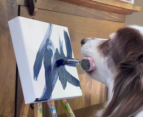 ▲Ivy畫畫的過程都是由牠自己下筆，主人麗莎只會在一旁協助沾濕畫筆、更換水彩顏色。（圖／IG@availablepaintingsbyivy）