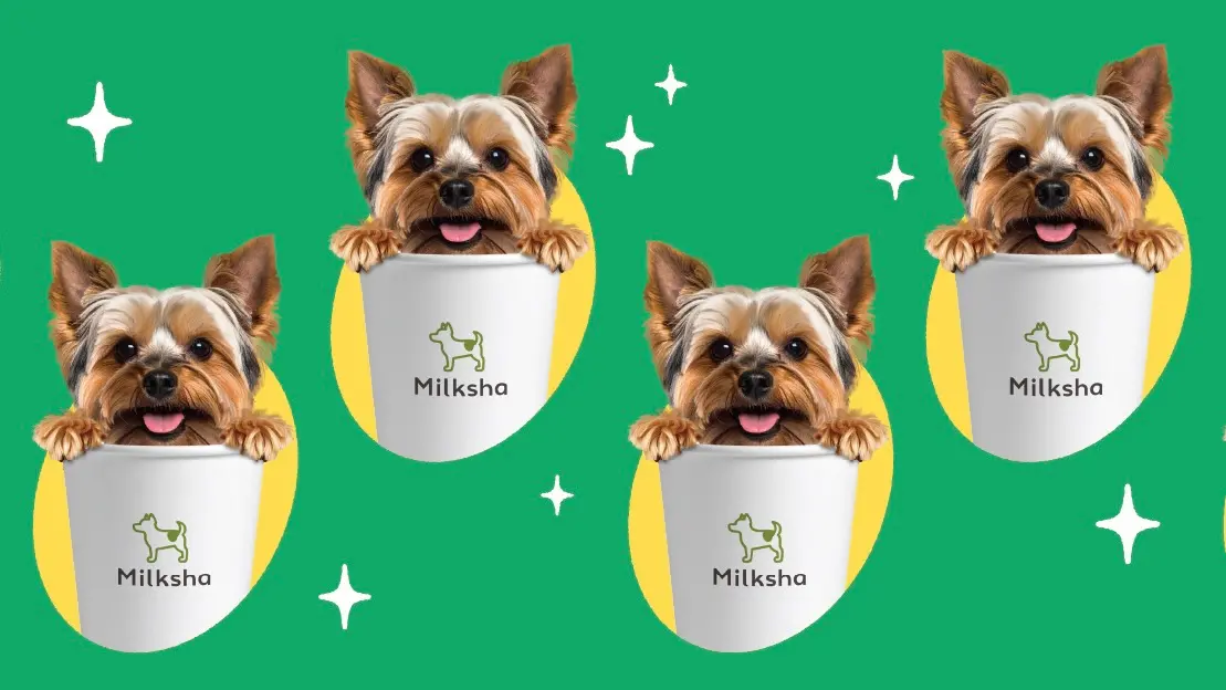 ▲可不可「買一送一、第二杯半價」！國際狗狗日迷客夏「送10元折價券」，五桐號、得正65折，鶴茶樓X伊藤潤二聯名杯，月底5大手搖飲料優惠一覽。（圖／翻攝自迷客夏FB）