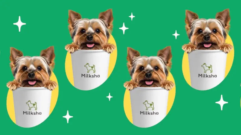 ▲可不可「買一送一、第二杯半價」！國際狗狗日迷客夏「送10元折價券」，五桐號、得正65折，鶴茶樓X伊藤潤二聯名杯，月底5大手搖飲料優惠一覽。（圖／翻攝自迷客夏FB）