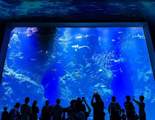 ▲台中海洋館現場照。（圖／翻攝自台中海洋館FB）