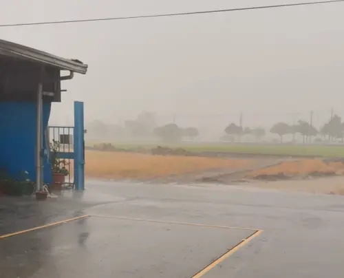▲嘉義今（24）日晚間突然下起超大雷雨。（圖／嘉義綠豆大小事）