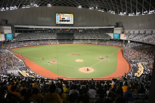 中職／中信兄弟排球少年主題日「票房分析」！內行球迷曝場邊觀察
