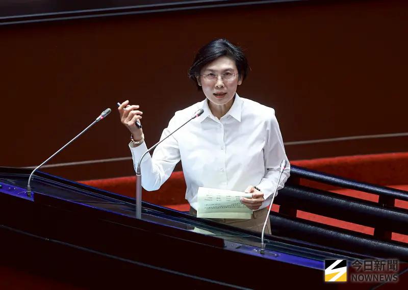 替柯建銘緩頰！林岱樺：把過錯歸咎一人很廉價「反省比去留重要」