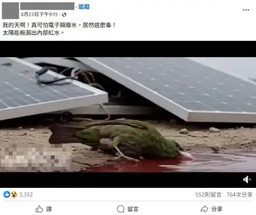 ▲網路瘋傳一段小鳥喝了光電板旁「紅水」後立即暴斃影片。TFC 台灣事實查核中心經查核，證實此為AI生成影片。（圖／TFC 台灣事實查核中心）