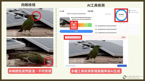 是假的！小鳥喝「光電板污染紅水」秒暴斃　事實查核平台破解真相
