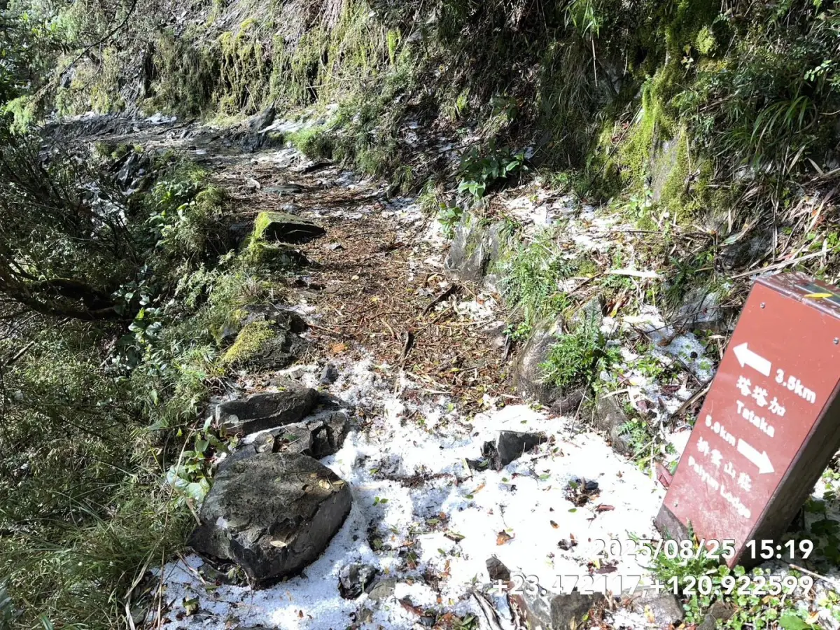 ▲昨（25）日受到冷心低壓影響，玉山步道降下了大量冰雹，部分區域甚至厚度超過3公分。（圖／玉管處臉書）