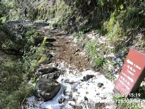 玉山步道降下大量冰雹！厚度達「3至5公分」　玉管處曝極罕見畫面

