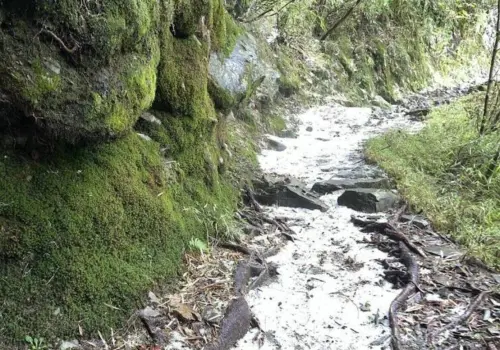 ▲玉山步道部分路段積冰雹甚至達到3至5公分厚。（圖／玉管處）