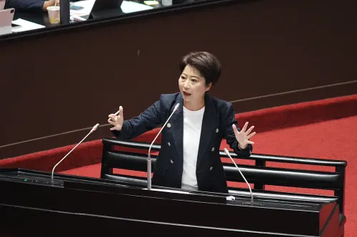 陳亭妃：追加預算應就細項討論　在野黨勿完全杯葛
