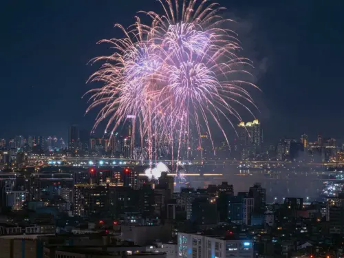 ▲大地處推薦看大稻埕煙火另一隱藏觀賞點，即是圓山「森林方舟」，可俯瞰市景、直眺淡水河忠孝橋與忠孝碼頭。（圖／大地處提供）