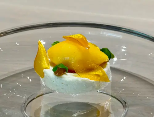 ▲芒果甜點為夏日豐美完美作收。（圖／記者蕭涵云攝）